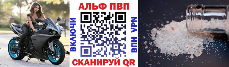 закладка  Инта  Alfa_PVP СК 