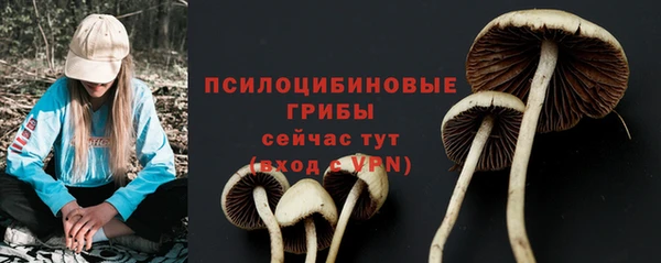 винт Володарск